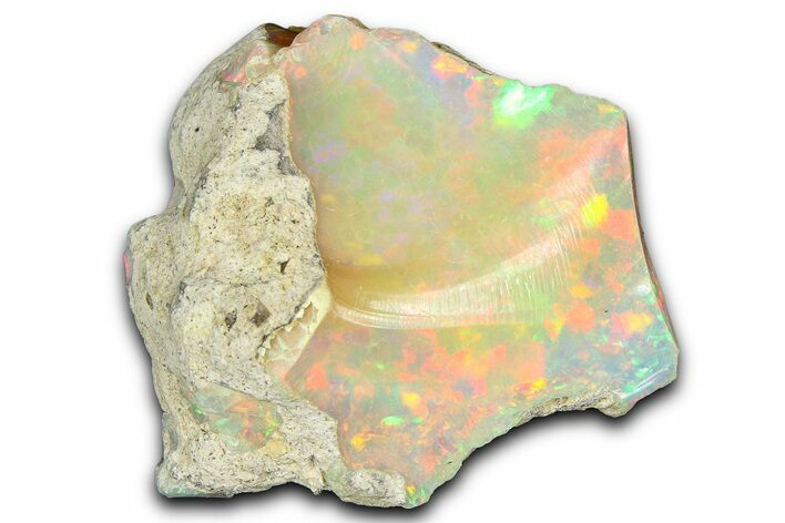 Brilliant Precious Ethiopian Fire Opal ( grams) #367241